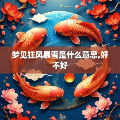 梦见狂风暴雪是什么意思,好不好