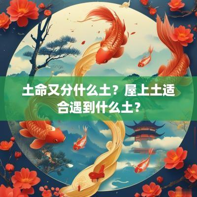 土命又分什么土？屋上土适合遇到什么土？