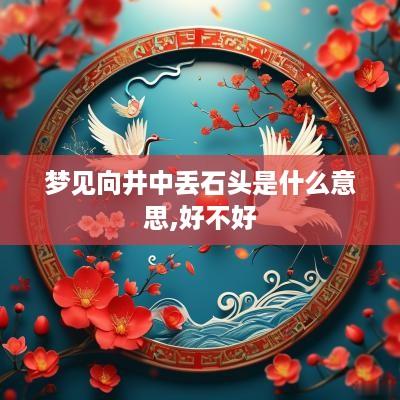 梦见向井中丢石头是什么意思,好不好