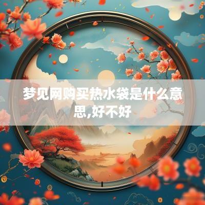 梦见网购买热水袋是什么意思,好不好