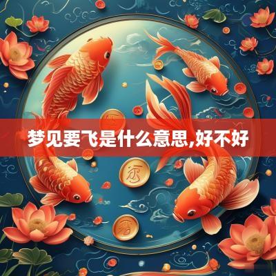 梦见要飞是什么意思,好不好