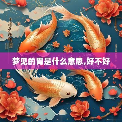 梦见的胃是什么意思,好不好