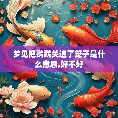 梦见把鹦鹉关进了笼子是什么意思,好不好