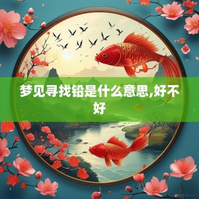 梦见寻找铅是什么意思,好不好