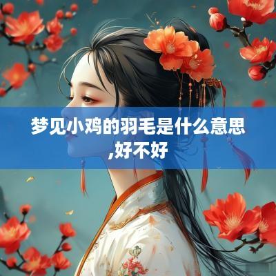 梦见小鸡的羽毛是什么意思,好不好