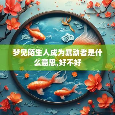 梦见陌生人成为暴动者是什么意思,好不好