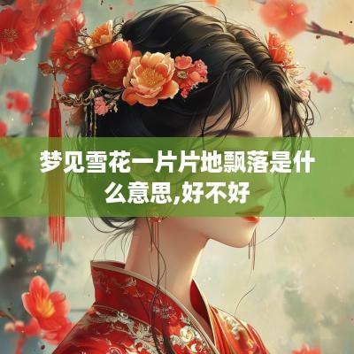 梦见雪花一片片地飘落是什么意思,好不好