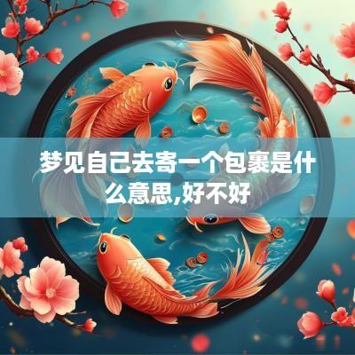 梦见自己去寄一个包裹是什么意思,好不好