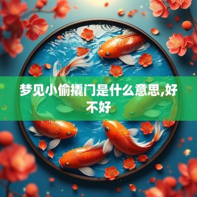 梦见小偷撬门是什么意思,好不好