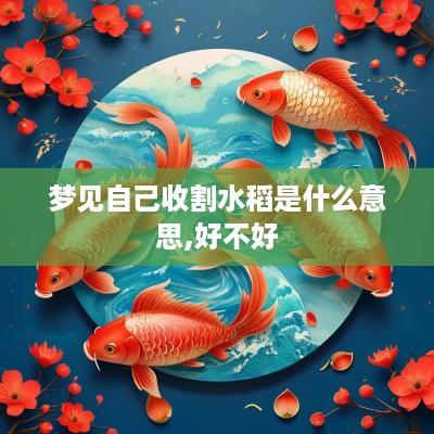 梦见自己收割水稻是什么意思,好不好