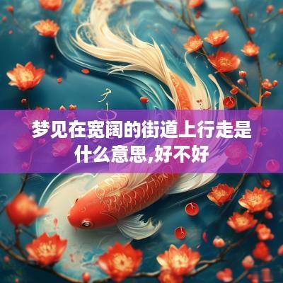 梦见在宽阔的街道上行走是什么意思,好不好