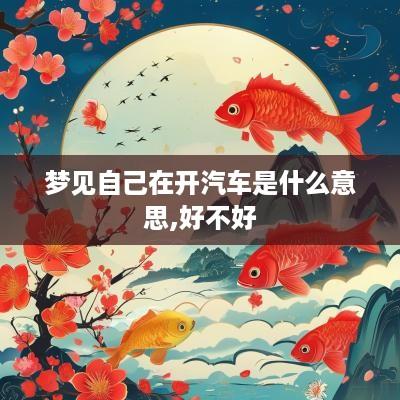 梦见自己在开汽车是什么意思,好不好