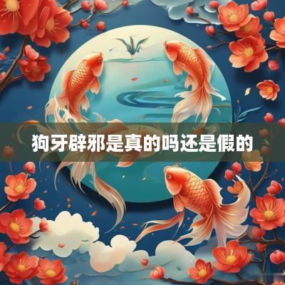 狗牙辟邪是真的吗还是假的