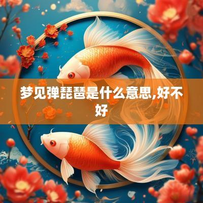 梦见弹琵琶是什么意思,好不好