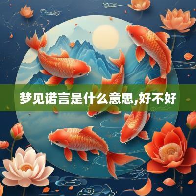 梦见诺言是什么意思,好不好