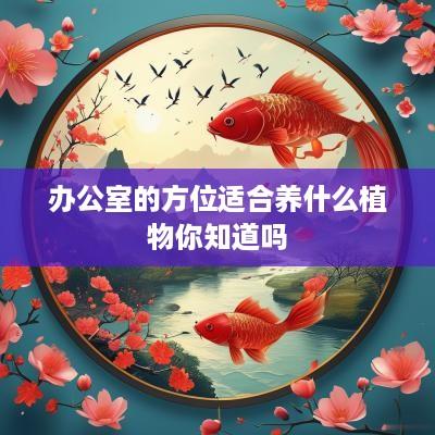 办公室的方位适合养什么植物你知道吗