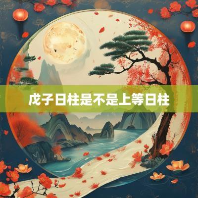 戊子日柱是不是上等日柱