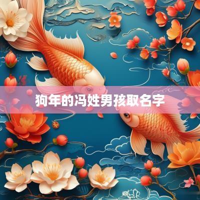 狗年的冯姓男孩取名字