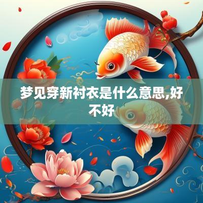梦见穿新衬衣是什么意思,好不好
