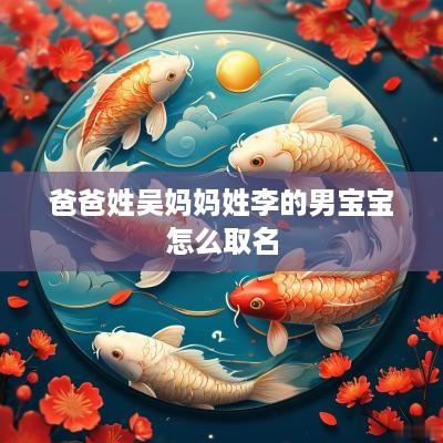 爸爸姓吴妈妈姓李的男宝宝怎么取名