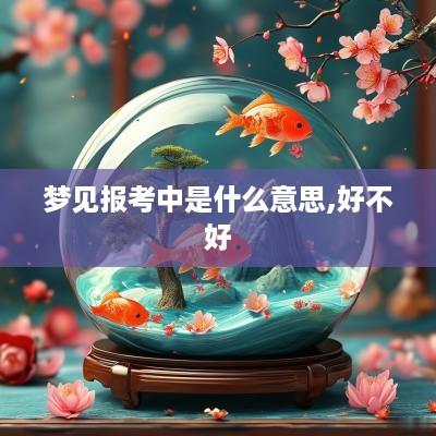 梦见报考中是什么意思,好不好