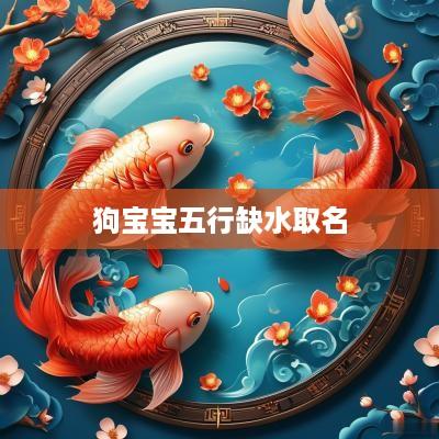 狗宝宝五行缺水取名