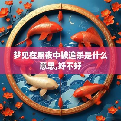 梦见在黑夜中被追杀是什么意思,好不好