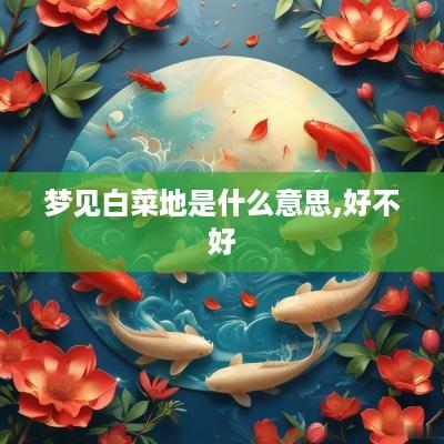 梦见白菜地是什么意思,好不好