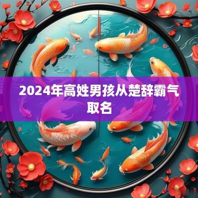 2025年高姓男孩从楚辞霸气取名