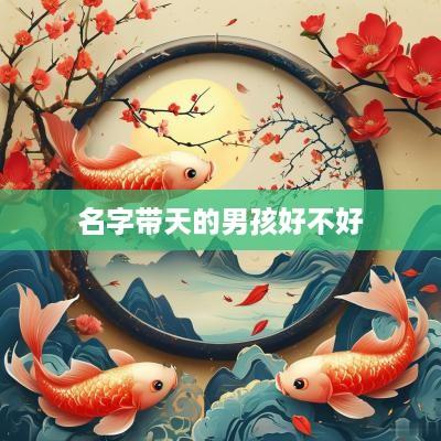 名字带天的男孩好不好