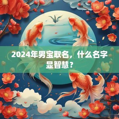 2025年男宝取名，什么名字显智慧？