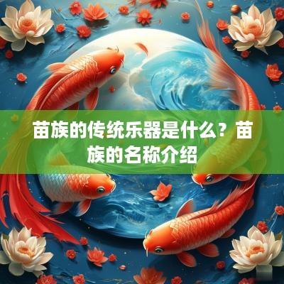 苗族的传统乐器是什么？苗族的名称介绍
