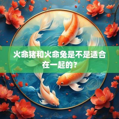 火命猪和火命兔是不是适合在一起的？