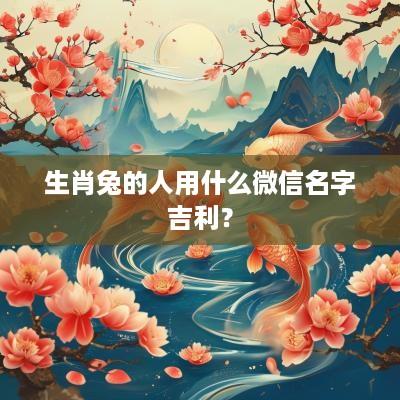 生肖兔的人用什么微信名字吉利？