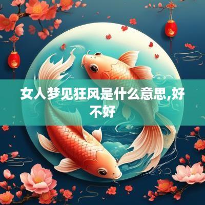 女人梦见狂风是什么意思,好不好