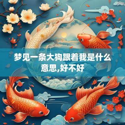 梦见一条大狗跟着我是什么意思,好不好
