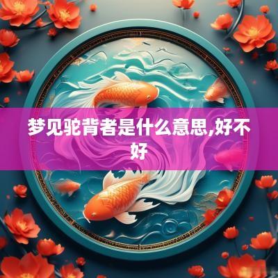 梦见驼背者是什么意思,好不好