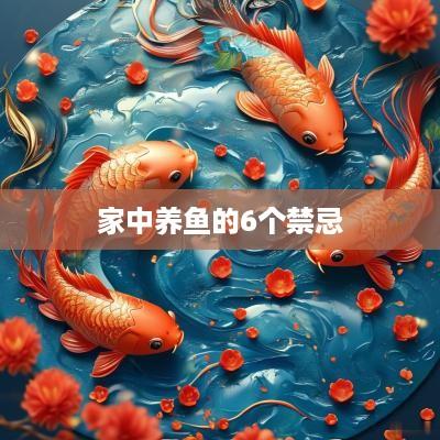 家中养鱼的6个禁忌