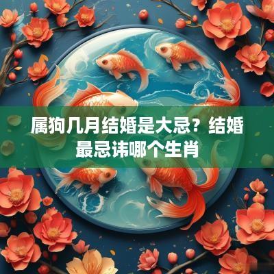 属狗几月结婚是大忌？结婚最忌讳哪个生肖