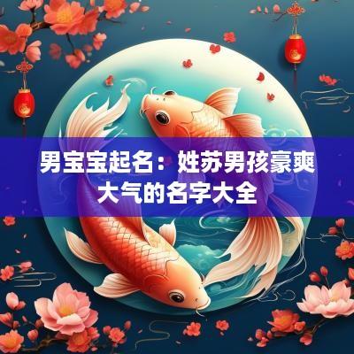 男宝宝起名：姓苏男孩豪爽大气的名字大全