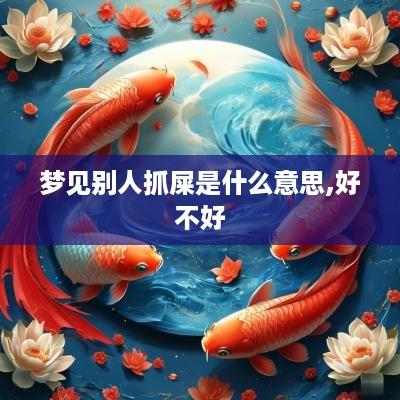 梦见别人抓屎是什么意思,好不好