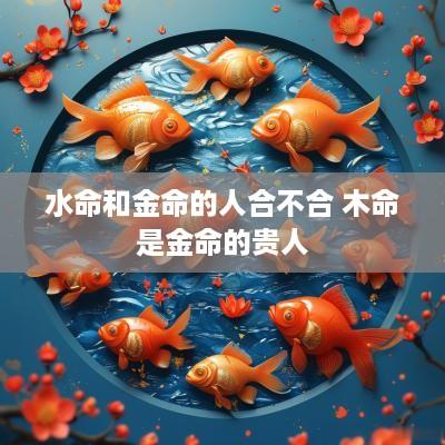 水命和金命的人合不合 木命是金命的贵人