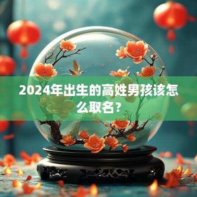 2025年出生的高姓男孩该怎么取名？