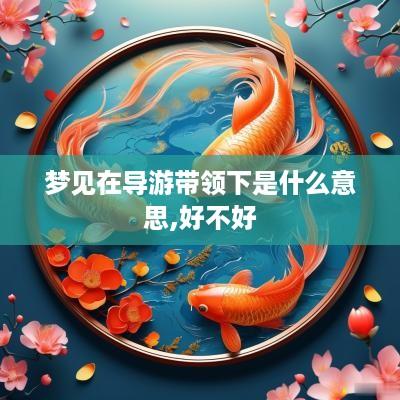 梦见在导游带领下是什么意思,好不好