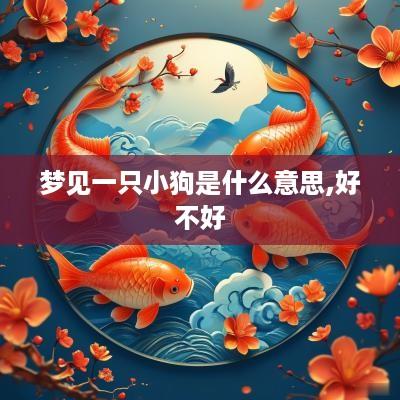 梦见一只小狗是什么意思,好不好