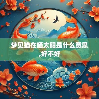 梦见猫在晒太阳是什么意思,好不好