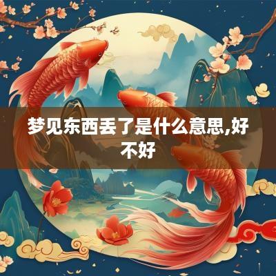 梦见东西丢了是什么意思,好不好
