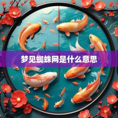 梦见蜘蛛网是什么意思
