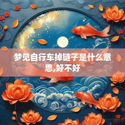梦见自行车掉链子是什么意思,好不好
