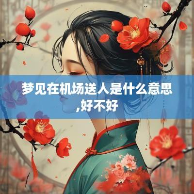 梦见在机场送人是什么意思,好不好